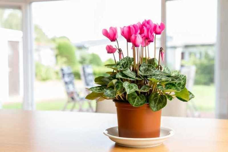 Ferienhaus Boje 9 Нойхарлингерзийл Екстериор снимка